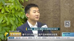 <b>央视专访星空官网游戏：推进古风精品游戏出海 探索5G云游戏模式</b>